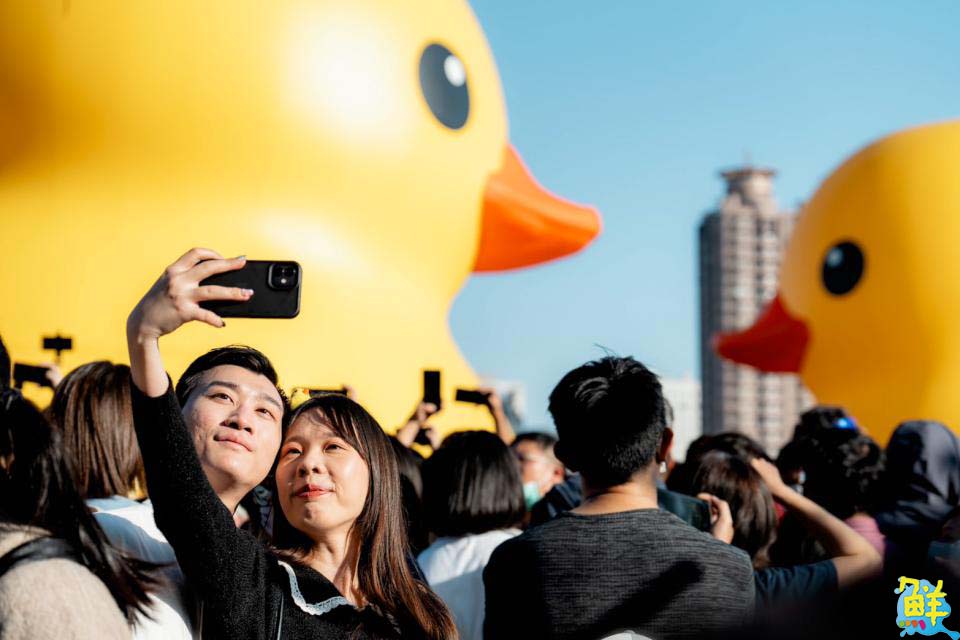 全球首創小鴨遊港動態秀！雙鴨放閃、曬恩愛 賞鴨累計600萬人破紀錄