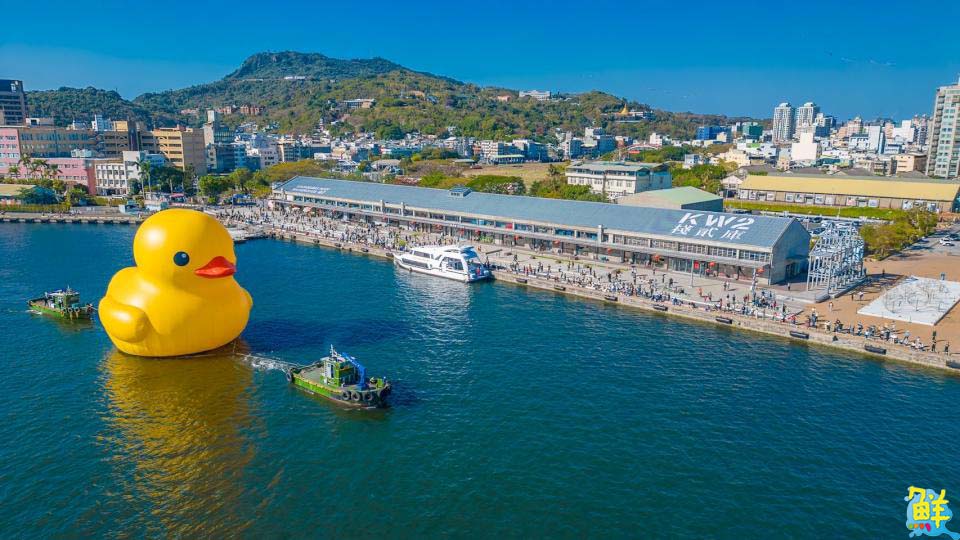 全球首創小鴨遊港動態秀！雙鴨放閃、曬恩愛 賞鴨累計600萬人破紀錄