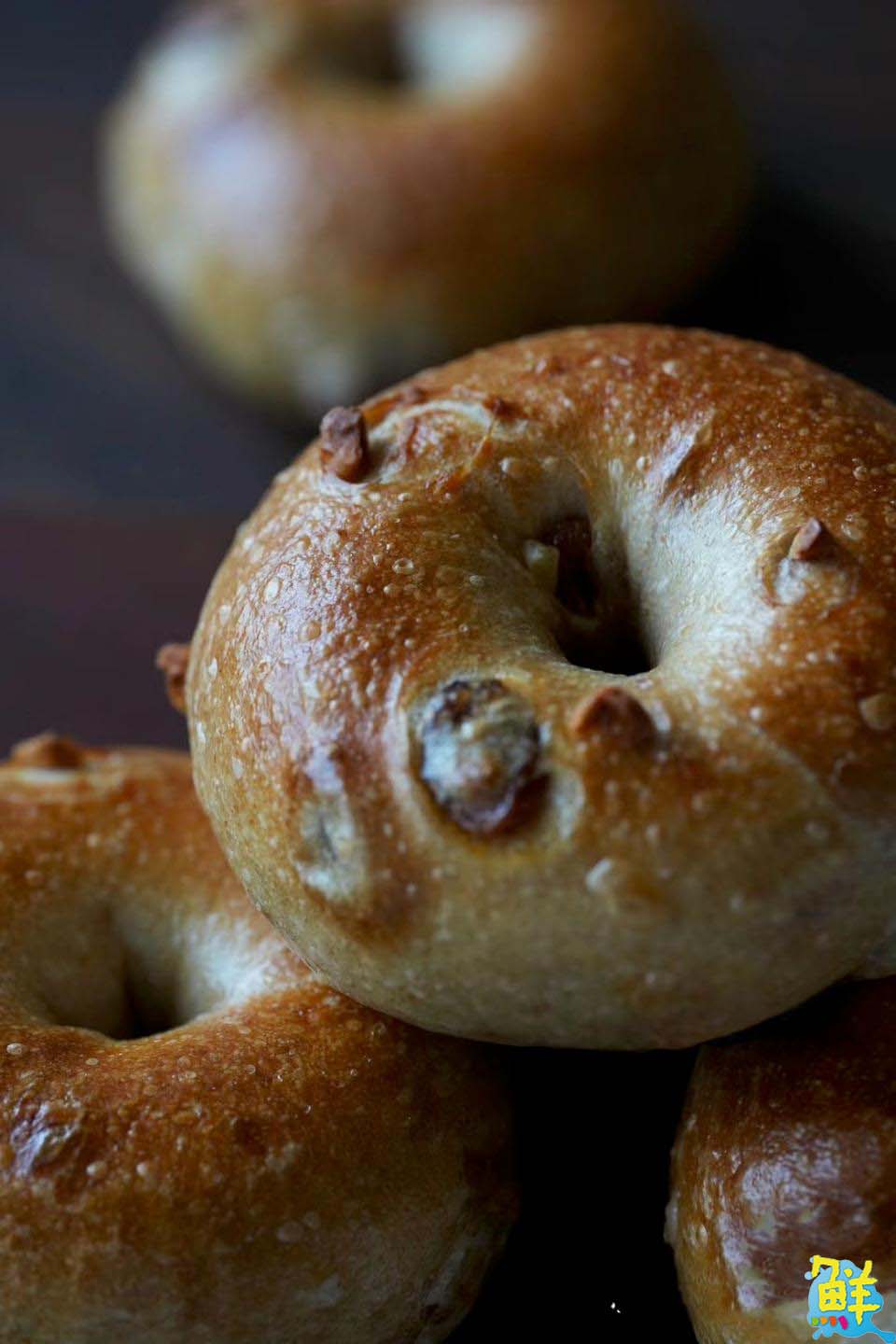 人氣宅配甜點 Neco&Cake貓蛋糕 健康美味 征服甜食控的味蕾