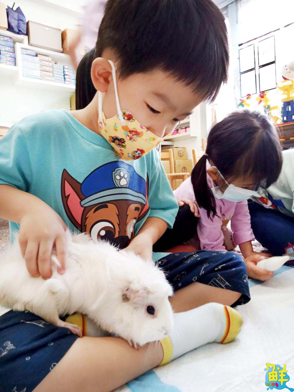 自由翱翔快樂不受限 築夢未來 精彩可期 課本沒有教的來 竹蜻蜓 教給你