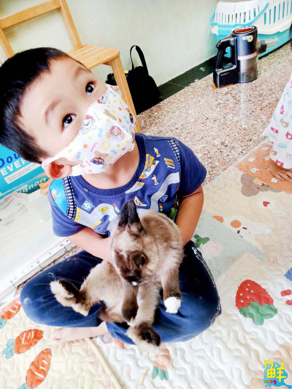 自由翱翔快樂不受限 築夢未來 精彩可期 課本沒有教的來 竹蜻蜓 教給你