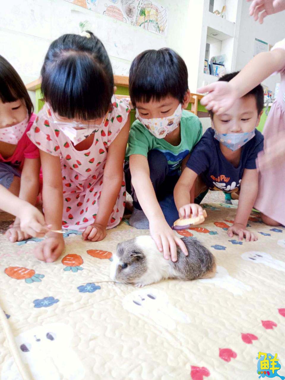 自由翱翔快樂不受限 築夢未來 精彩可期 課本沒有教的來 竹蜻蜓 教給你