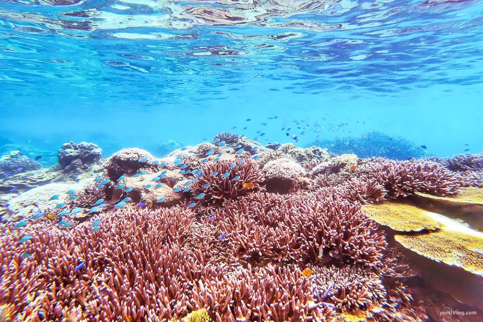 【第307期】澎南商圈探訪趣II 璀璨華麗 海上繁花2025 澎湖國際花火節 視覺頂級享受!700台史努比主題無人機秀