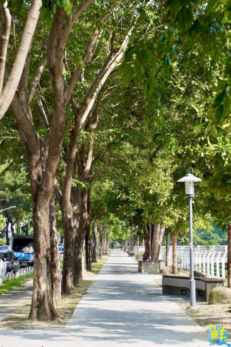 社區休憩好去處 鳳山中崙社區河岸步道完工啟用