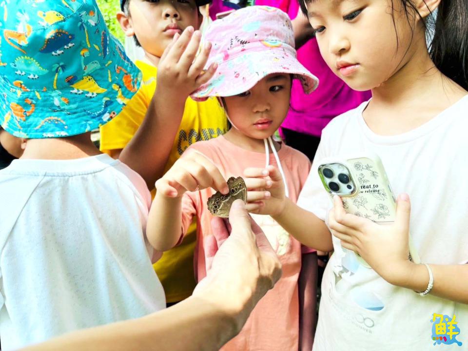 尖山埤「蝴蝶月」優惠多 母親節媽媽免門票