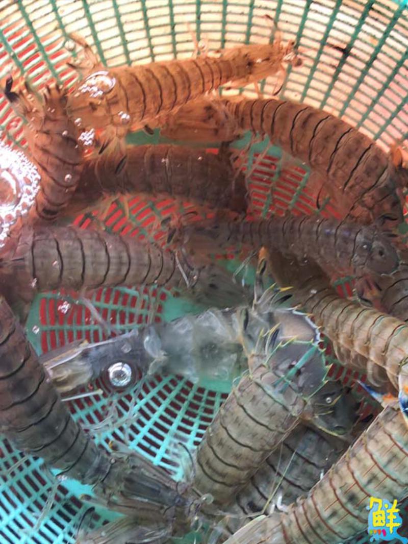 海鮮許願池 溢源水產 尚青海產底家啦！