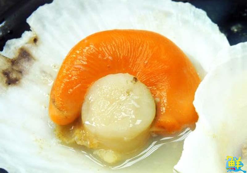 海鮮許願池 溢源水產 尚青海產底家啦！