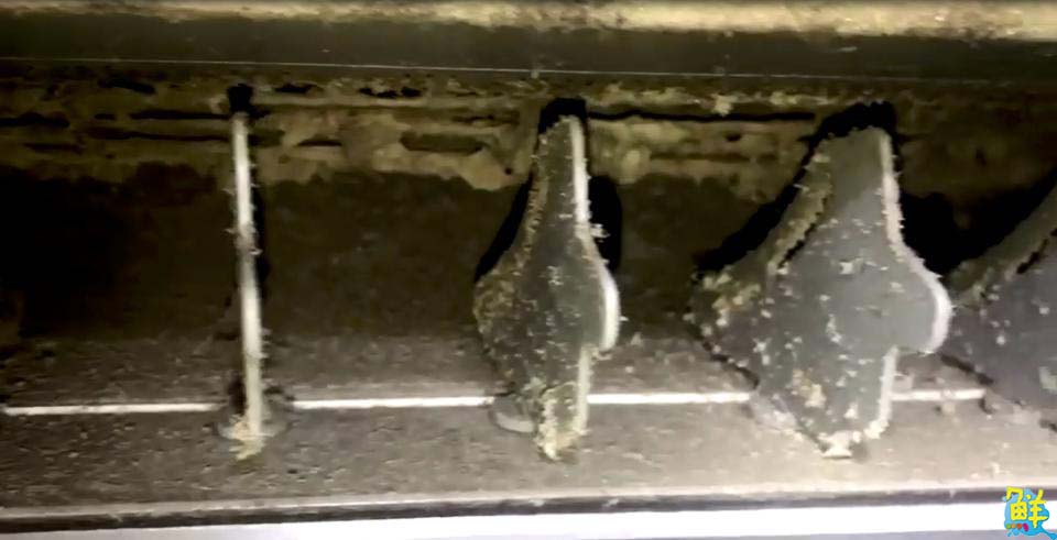 專業冷靜值得信賴 安心享受潔淨生活 很冷淨專業居家冷氣‧洗衣機清洗