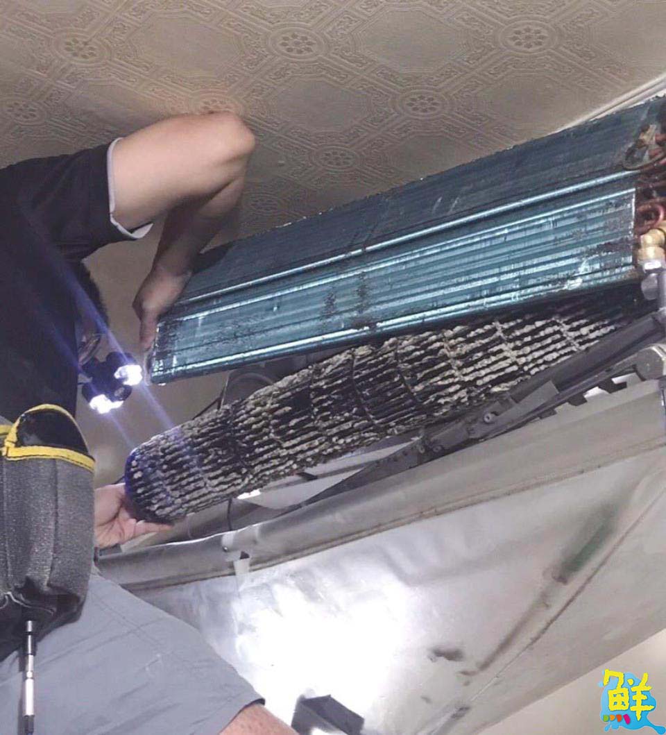 專業冷靜值得信賴 安心享受潔淨生活 很冷淨專業居家冷氣‧洗衣機清洗