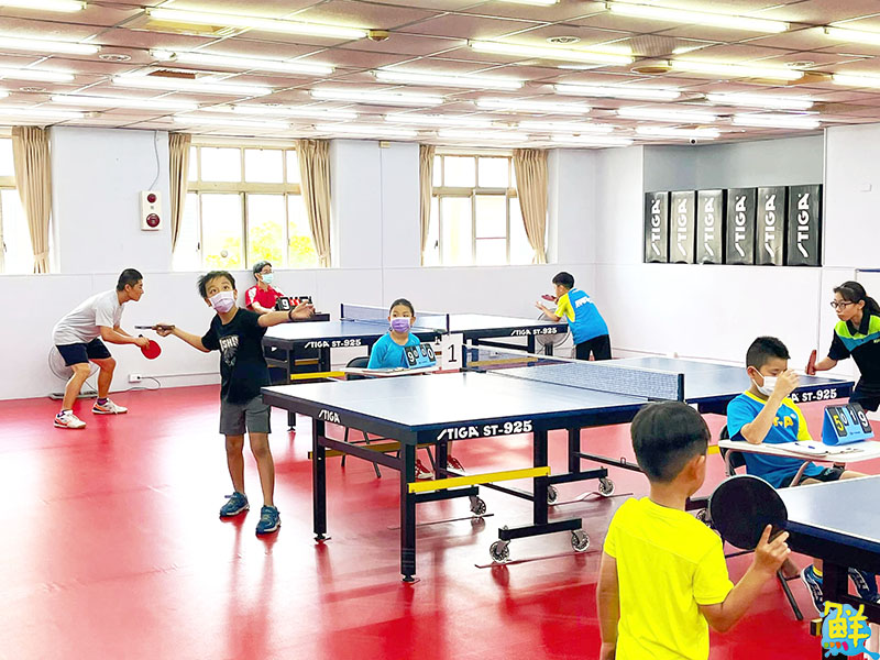豐富多元精彩課程 辰群乒乓 讓大小朋友揮汗實現熱血