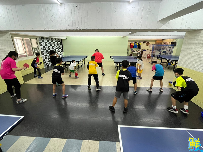豐富多元精彩課程 辰群乒乓 讓大小朋友揮汗實現熱血