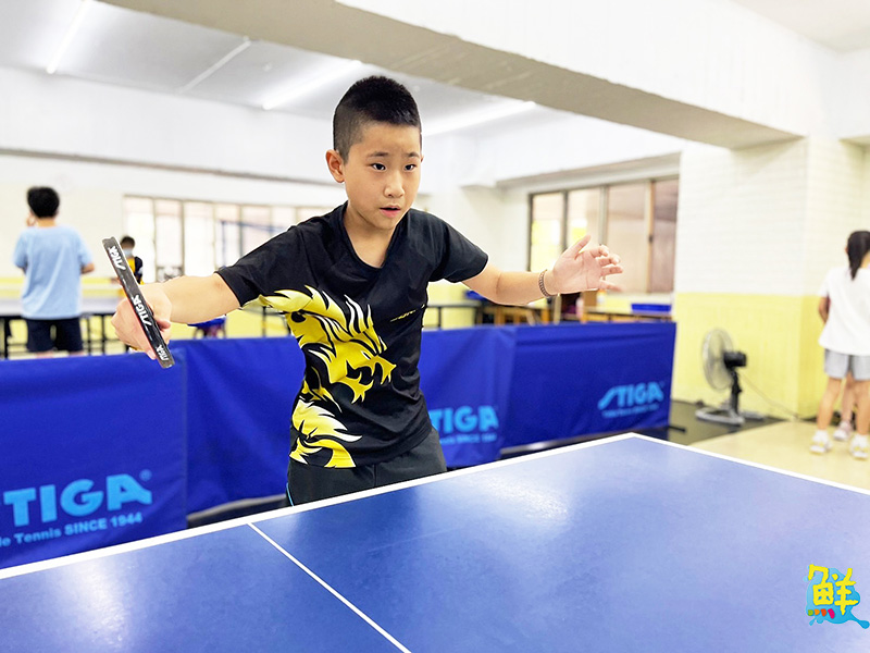 豐富多元精彩課程 辰群乒乓 讓大小朋友揮汗實現熱血