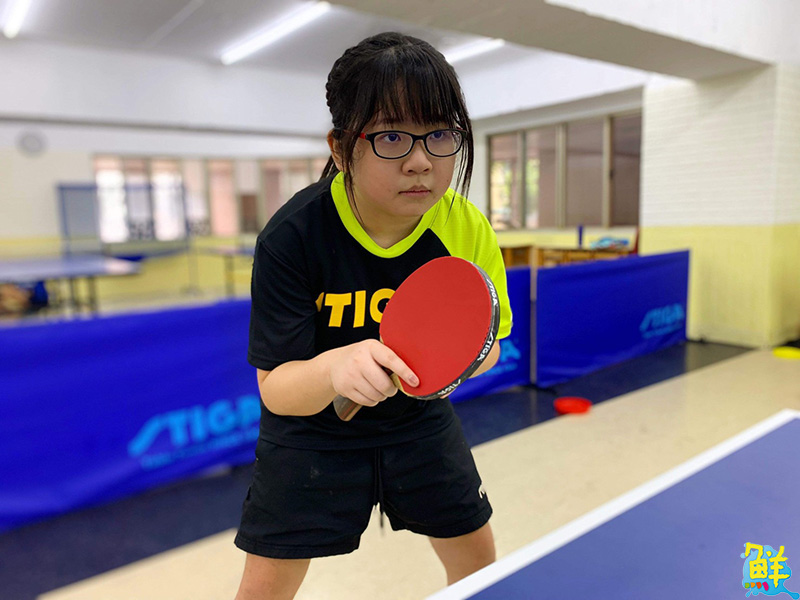 豐富多元精彩課程 辰群乒乓 讓大小朋友揮汗實現熱血
