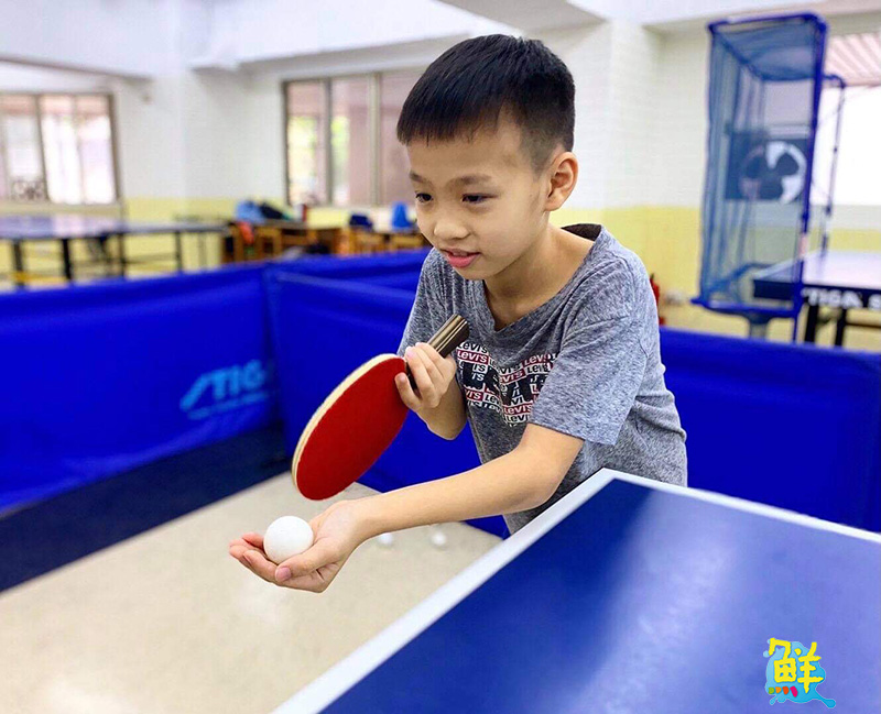 豐富多元精彩課程 辰群乒乓 讓大小朋友揮汗實現熱血