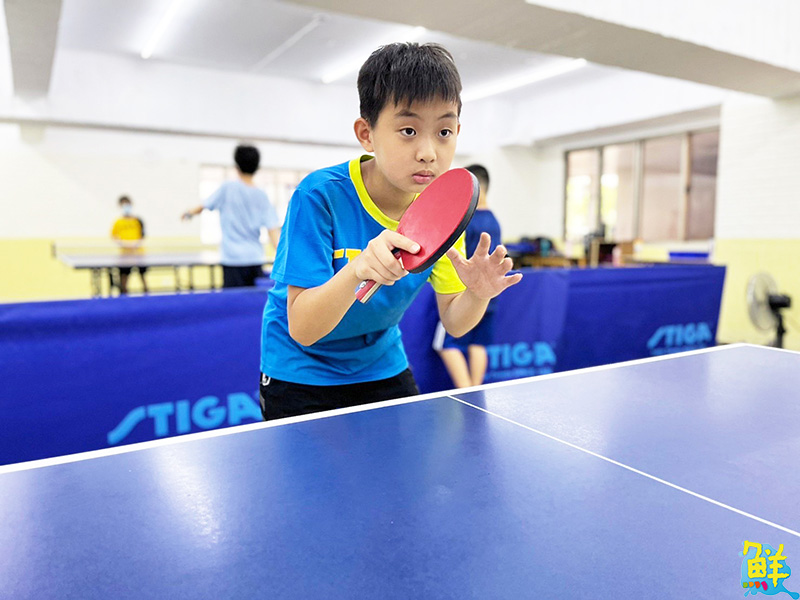 豐富多元精彩課程 辰群乒乓 讓大小朋友揮汗實現熱血