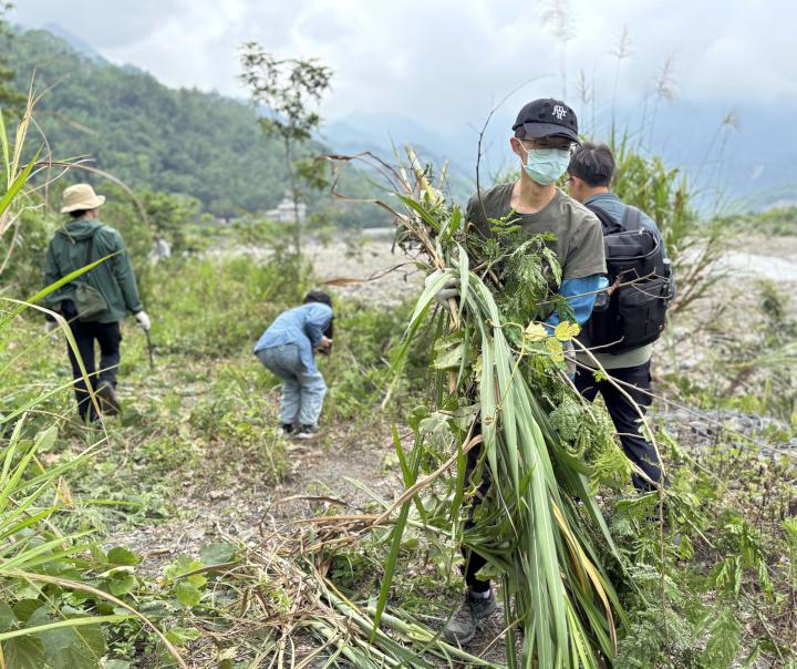 農業局攜手嘉大森林系前進那瑪夏區 講解楠梓仙溪外來種植物揪學員移除