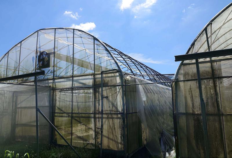 颱風豪雨重創致高市農損逾2億2000萬元 農業局續爭取中颱楊柳現金救助低利貸款